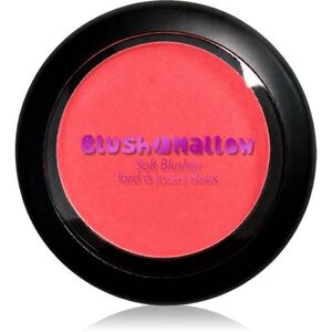 J.Cat Beauty Blush Mallow matná krémová tvářenka odstín 110 Just Blushing 4.5 g obraz