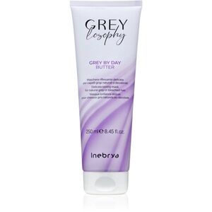 Inebrya Greylosophy Grey By Day Butter maska na vlasy pro šedivé vlasy 250 ml obraz