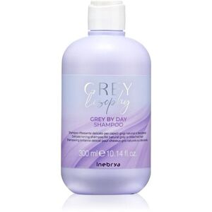 Inebrya Greylosophy Grey By Day Shampoo tónovací šampon pro šedivé vlasy 300 ml obraz