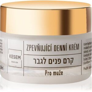 KESEM Firming Day Cream for Men zpevňující denní krém pro muže 50 ml obraz