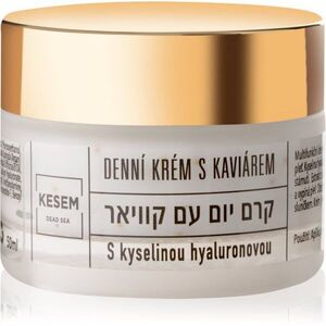 KESEM Day Cream with Caviar and Hyaluronic Acid denní krém s kyselinou hyaluronovou 50 ml obraz