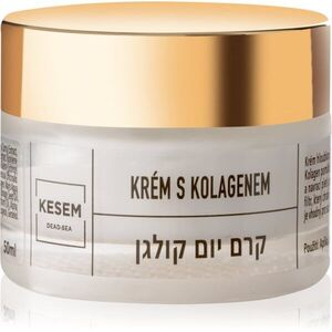 KESEM Daily Face Cream with Collagen denní pleťový krém s kolagenem 50 ml obraz