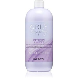 Inebrya Greylosophy Grey By Day Shampoo tónovací šampon pro šedivé vlasy 1000 ml obraz