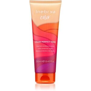 Inebrya Color Perfect Mask maska pro ochranu barvy 250 ml obraz