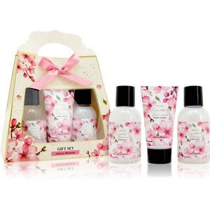 Accentra Essential Botanicals Gift Set dárková sada na tělo 3 ks obraz