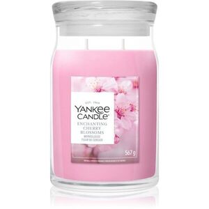 Yankee Candle Enchanting Cherry Blossom vonná svíčka 567 g obraz