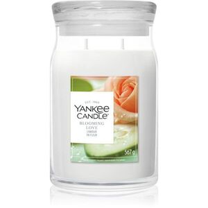 Yankee Candle Blooming Love vonná svíčka 567 g obraz