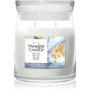 Yankee Candle Silver Birch vonná svíčka 368 g obraz