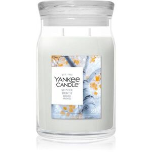 Yankee Candle Silver Birch vonná svíčka 567 g obraz