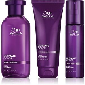 Wella Professionals Ultimate Color sada sada pro barvené vlasy obraz