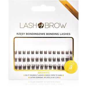 Lash Brow Bonding Eyelashes trsové nalepovací řasy Basic Brownie 1 ks obraz