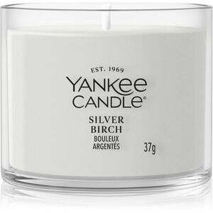 Yankee Candle Silver Birch votivní svíčka 37 g obraz