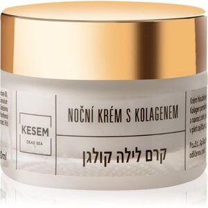 KESEM Night Cream with Collagen noční pleťový krém s kolagenem 50 ml obraz