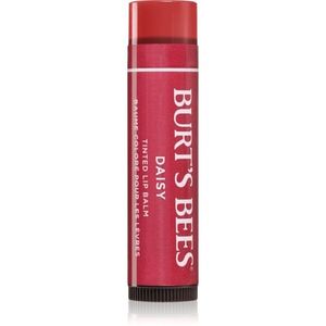 Burt’s Bees Tinted Lip Balm balzám na rty odstín Daisy 4.25 g obraz