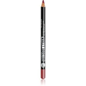 J.Cat Beauty Wholly Addiction konturovací tužka na rty odstín 223 Rosy Nude 1.76 g obraz