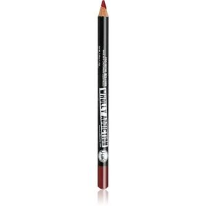 J.Cat Beauty Wholly Addiction konturovací tužka na rty odstín 210 Red Hot 1.76 g obraz