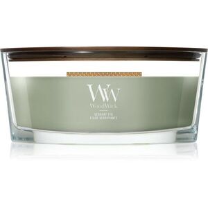 Woodwick Verdant Fig vonná svíčka s dřevěným knotem 453.6 g obraz