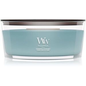 Woodwick Cedarwood & Ocean Moss vonná svíčka s dřevěným knotem 453.6 g obraz