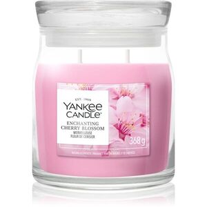 Yankee Candle Enchanting Cherry Blossom vonná svíčka 368 g obraz