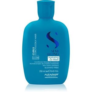 Alfaparf Milano Semi Di Lino Curls Hydrating Co-Wash pečující mycí krém na vlasy a vlasovou pokožku 250 ml obraz