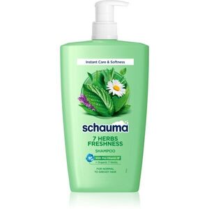 Schwarzkopf Schauma 7 Herbs Freshness bylinný šampon pro normální až mastné vlasy 1000 ml obraz
