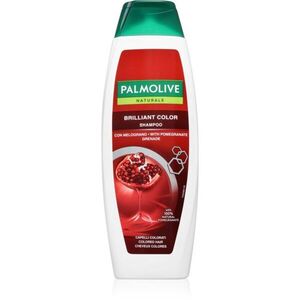 Palmolive Naturals Brilliant Color šampon 350 ml obraz