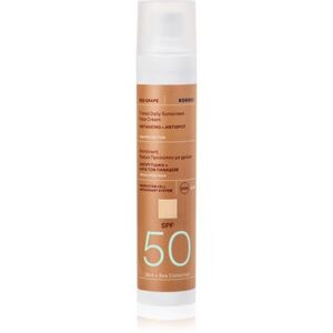 Korres Red Grape Tinted Daily Sunscreen tónovací opalovací krém pro sjednocení barevného tónu pleti SPF 50 50 ml obraz