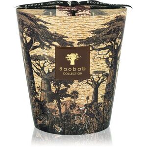 Baobab Collection Sacred Trees Mankono vonná svíčka 1100 g obraz