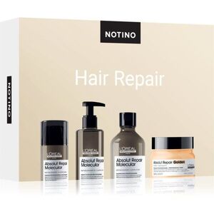 Beauty Discovery Box Notino Hair Repair (L'Oréal Professionnel) sada pro ženy obraz