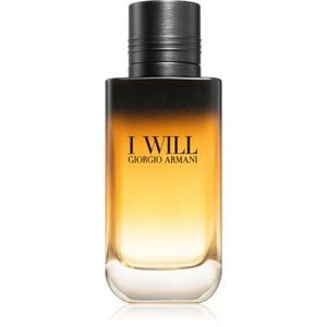 Armani I Will parfémovaná voda pro muže 100 ml obraz