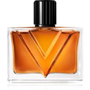 Valentino Vendetta Uomo parfémovaná voda pro muže 90 ml obraz