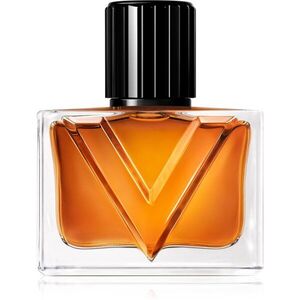 Valentino Vendetta Uomo parfémovaná voda pro muže 30 ml obraz