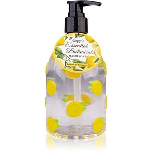 Accentra Essential Botanicals Hand Soap tekuté mýdlo na ruce s pumpičkou 300 ml obraz