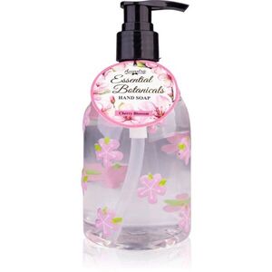 Accentra Essential Botanicals Hand Soap tekuté mýdlo na ruce s pumpičkou 300 ml obraz