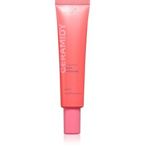 beBIO Natural Nourishing Cream vyživující pleťový krém na den i noc 40 ml obraz