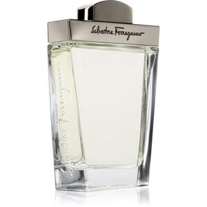 Ferragamo Pour Homme toaletní voda pro muže 100 ml obraz