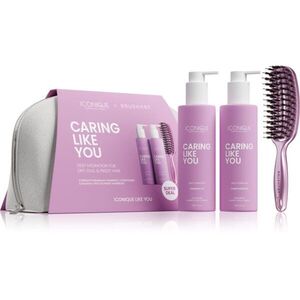 ICONIQUE Professional CARING LIKE YOU Set Shampoo 250 ml Conditioner 250 ml BrushArt Brush dárková sada na vlasy a vlasovou pokožku obraz