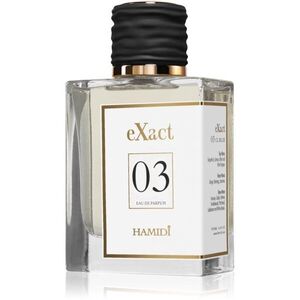 Hamidi eXact 03 parfémovaná voda pro muže 100 ml obraz