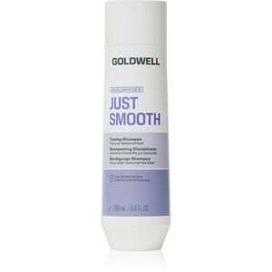 Goldwell Dualsenses Just Smooth Taming Shampoo uhlazující šampon 250 ml obraz