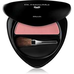 Dr. Hauschka Make-Up Blush pudrová tvářenka odstín 01 raspberry 5 g obraz