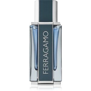 Ferragamo Ferragamo Intense Leather parfémovaná voda pro muže 50 ml obraz