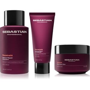 Sebastian Professional Penetraitt Bundle sada pro poškozené, chemicky ošetřené vlasy obraz