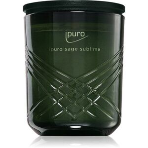 ípuro Exclusive Sage Sublime vonná svíčka 270 g obraz
