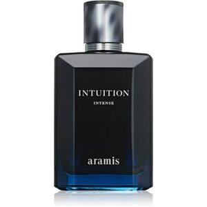 Aramis Intuition Intense EDP parfémovaná voda intense pro muže 100 ml obraz