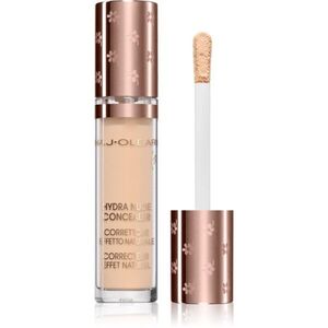 Naj Oleari Hydra Nude Concealer tekutý korektor s hydratačním účinkem pro ženy 01 Ivory 4 ml obraz