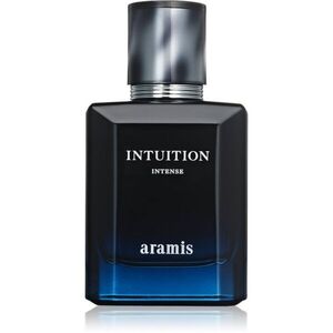 Aramis Intuition Intense EDP parfémovaná voda intense pro muže 50 ml obraz