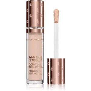 Naj Oleari Hydra Nude Concealer tekutý korektor s hydratačním účinkem odstín 00 Cream 4 ml obraz