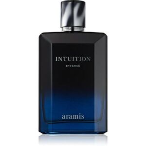 Aramis Intuition Intense EDP parfémovaná voda intense pro muže 150 ml obraz