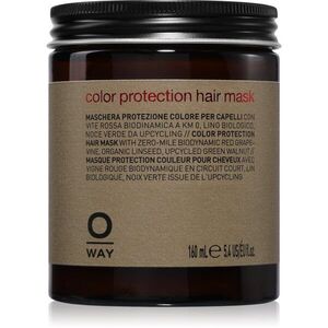 Oway Color Protection Hair Mask obnovující ochranná maska pro barvené vlasy 160 ml obraz
