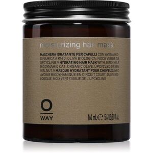 Oway Moisturizing Hair Mask hloubkově hydratační maska pro suché vlasy 160 ml obraz